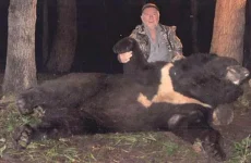 Malcolm-King-Trophy-Hunter.webp Malcolm-King-Trophy-Hunter.webp